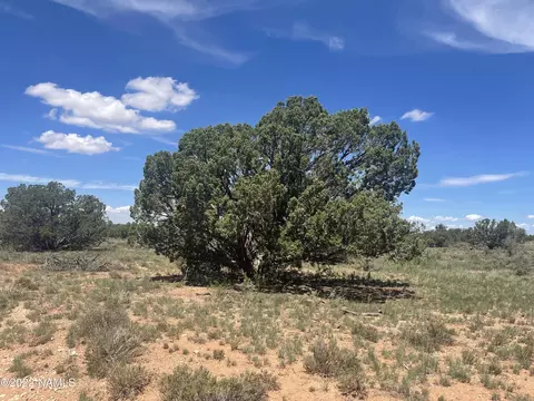 3625 E Highgrove Rd #LOT 2, Williams, AZ 86046
