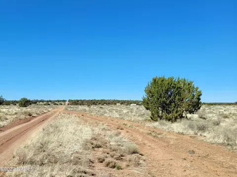 603 S Wyandotte Rd #245-247, Valle, AZ 86046