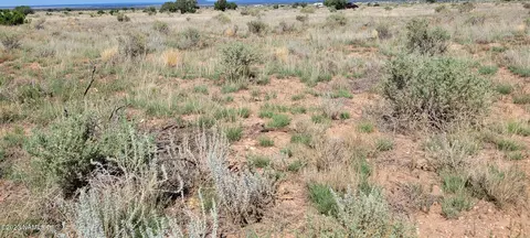 854 E Floye Rd, Williams, AZ 86046 photo 6