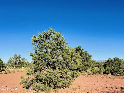 4378 Lasso Loop #LOT 2, Williams, AZ 86046 photo 5