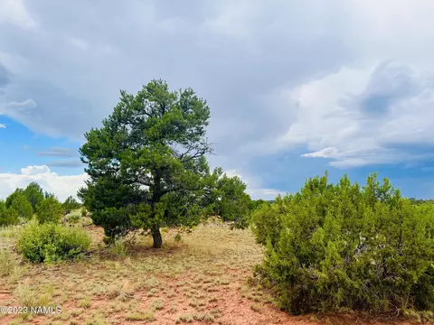 4378 Lasso Loop #LOT 2, Williams, AZ 86046 photo 3