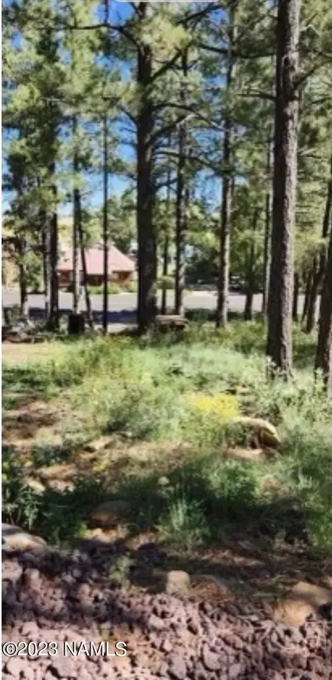 291 Lake View Dr, Mormon Lake, AZ 86038