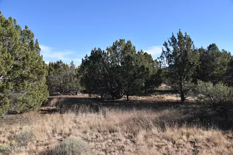 1202 E Ventura Ave #179, Williams, AZ 86046
