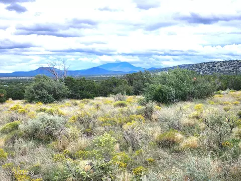 10209 S Big Bear Rd #458, Williams, AZ 86046
