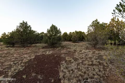 1355 E Tamarack St, Williams, AZ 86046 photo 4