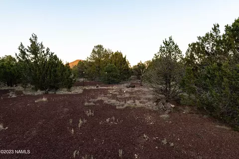 1355 E Tamarack St, Williams, AZ 86046 photo 5