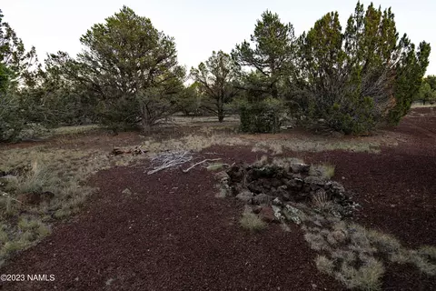 1355 E Tamarack St, Williams, AZ 86046 photo 6