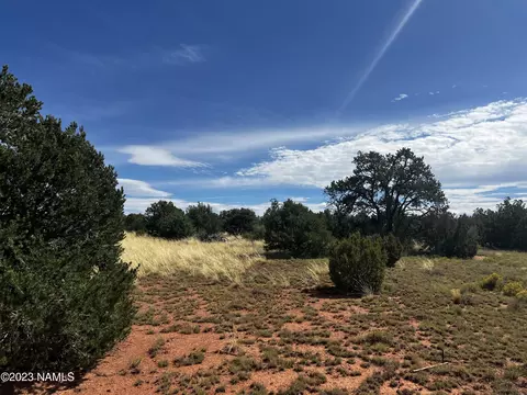 4446 Goldenrod Rd, Williams, AZ 86046