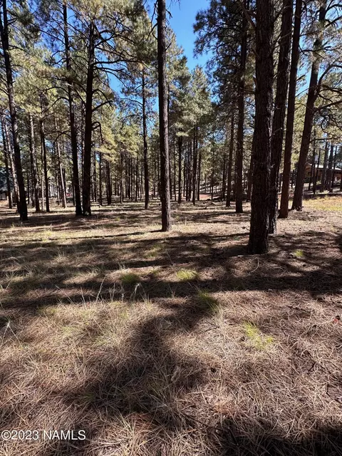 7549 E Long Bow Dr #71, Williams, AZ 86046 photo 4