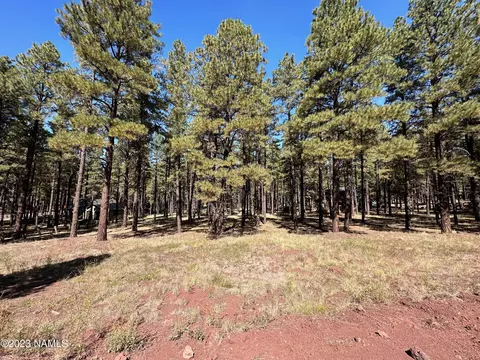 7549 E Long Bow Dr #71, Williams, AZ 86046 photo 5
