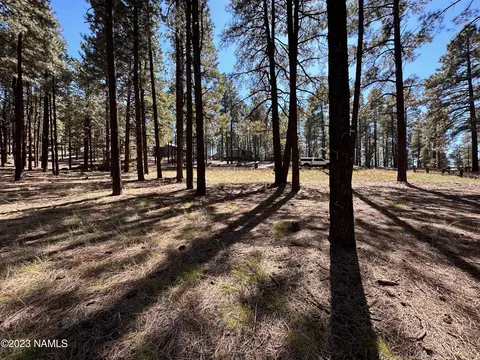 7549 E Long Bow Dr #71, Williams, AZ 86046 photo 2