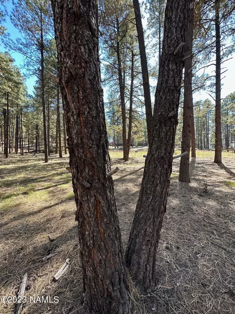 7549 E Long Bow Dr #71, Williams, AZ 86046 photo 3