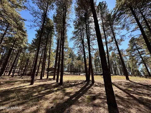 7549 E Long Bow Dr #71, Williams, AZ 86046