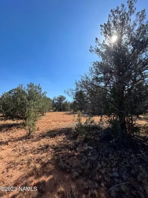 000 Gun Flint Trl, Ash Fork, AZ 86320