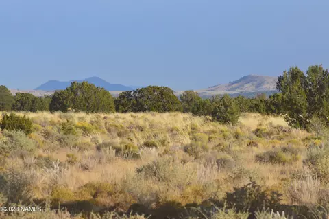 3771 S Avondale Rd #19, Williams, AZ 86046