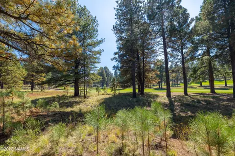 3565 S Lariat Loop, Flagstaff, AZ 86005 photo 5