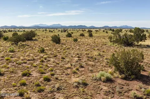 3589 S Carmen Rd, Williams, AZ 86046