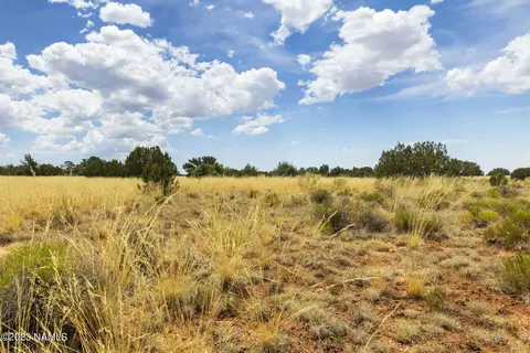 3924 E Douglas Dr, Williams, AZ 86046 photo 17