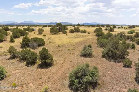 3924 E Douglas Dr, Williams, AZ 86046 photo 5