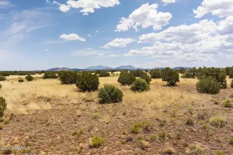 3924 E Douglas Dr, Williams, AZ 86046 photo 3