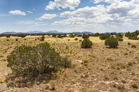 3924 E Douglas Dr, Williams, AZ 86046 photo 7