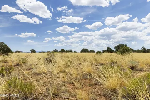 3924 E Douglas Dr, Williams, AZ 86046 photo 16