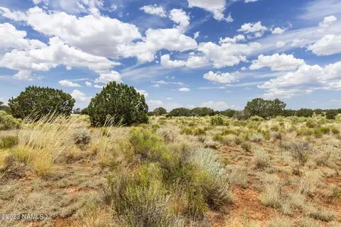 3924 E Douglas Dr, Williams, AZ 86046 photo 14