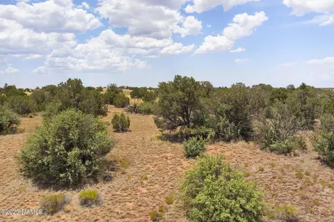3924 E Douglas Dr, Williams, AZ 86046 photo 12