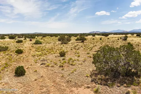 3924 E Douglas Dr, Williams, AZ 86046 photo 8