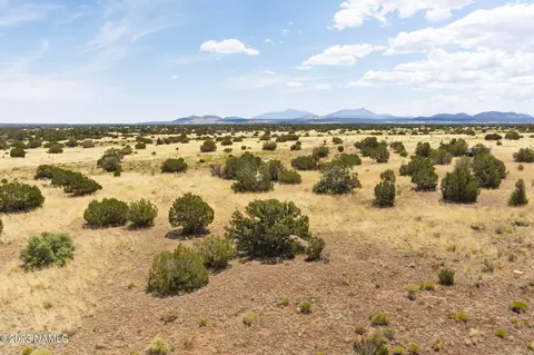 3924 E Douglas Dr, Williams, AZ 86046 photo 4