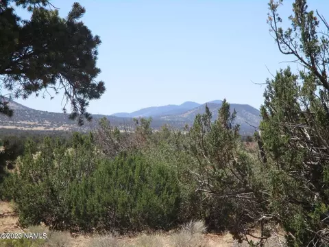 7774 Lasso Lp #446, Williams, AZ 86046