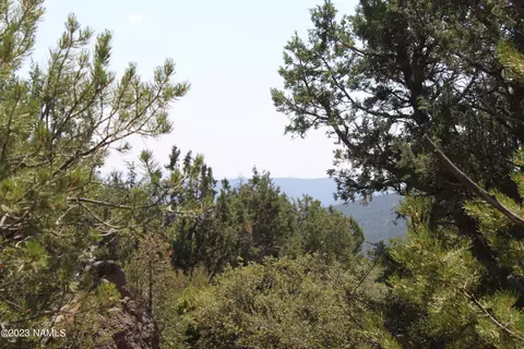 Tbd Elk Run, Seligman, AZ 86337