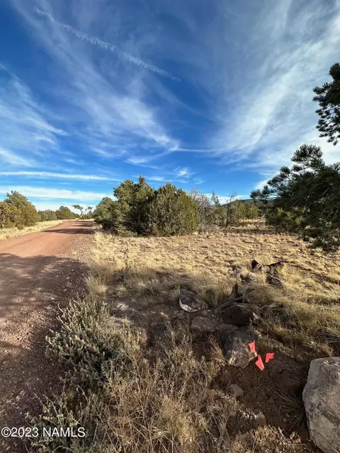 1164 E Cedar Wash Rd, Williams, AZ 86046