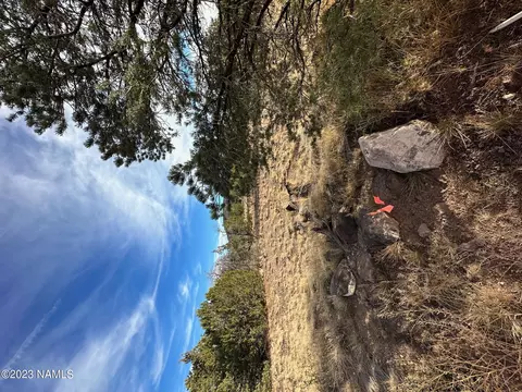 1094 E Cedar Wash Rd, Williams, AZ 86046