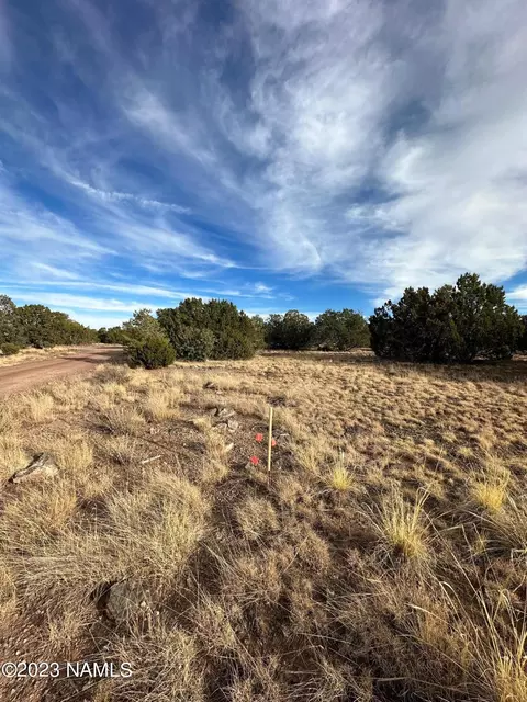 1024 E Cedar Wash Rd, Williams, AZ 86046 photo 5