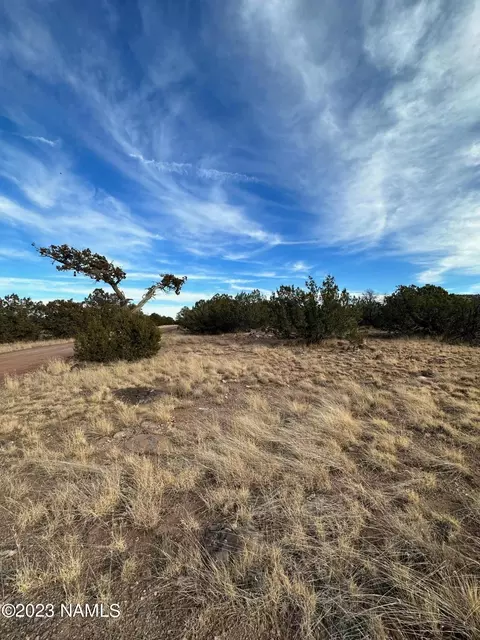 1024 E Cedar Wash Rd, Williams, AZ 86046 photo 3