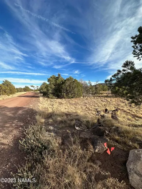 1024 E Cedar Wash Rd, Williams, AZ 86046 photo 4