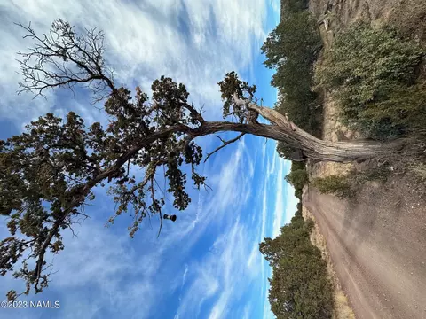 1024 E Cedar Wash Rd, Williams, AZ 86046