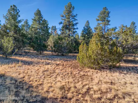 1872 E Prospect Ln, Williams, AZ 86046 photo 17