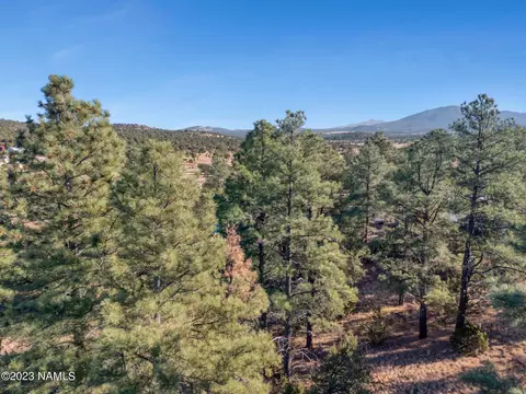1872 E Prospect Ln, Williams, AZ 86046 photo 23