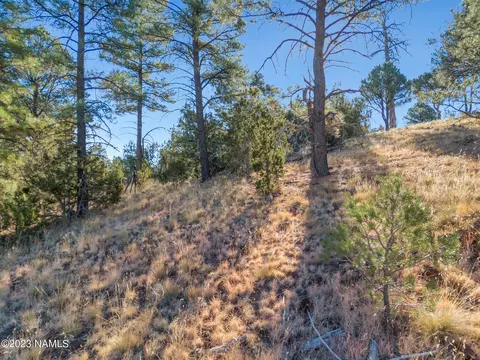 1872 E Prospect Ln, Williams, AZ 86046 photo 22