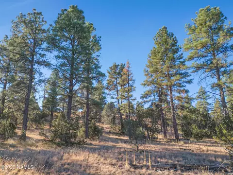 1872 E Prospect Ln, Williams, AZ 86046 photo 3