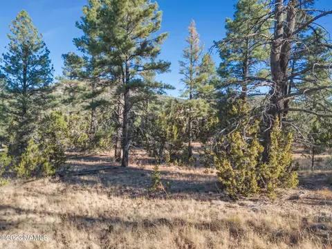 1872 E Prospect Ln, Williams, AZ 86046