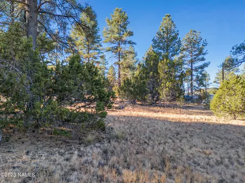 1872 E Prospect Ln, Williams, AZ 86046 photo 2
