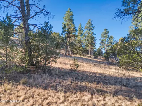 1872 E Prospect Ln, Williams, AZ 86046 photo 21