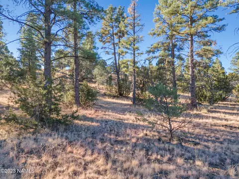 1872 E Prospect Ln, Williams, AZ 86046 photo 19