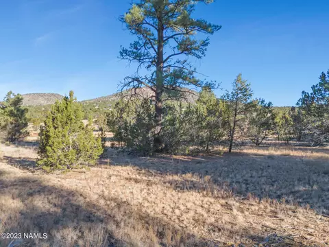 1872 E Prospect Ln, Williams, AZ 86046 photo 18