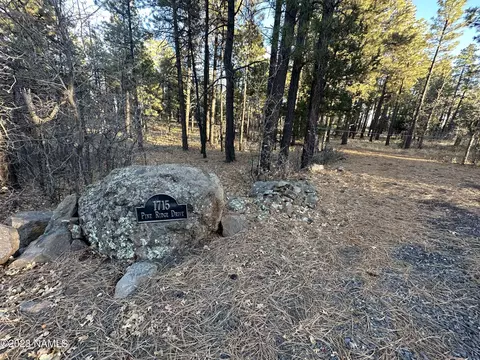 1715 Pine Ridge Dr #18, Williams, AZ 86046