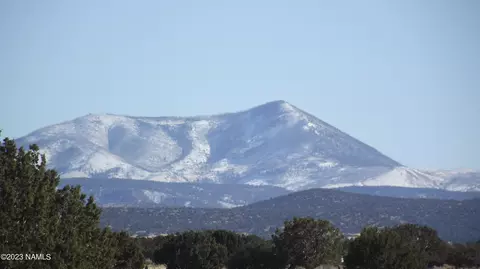 2902 E Wingfield Rd, Williams, AZ 86046 photo 9