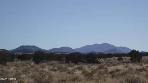 2902 E Wingfield Rd, Williams, AZ 86046 photo 3